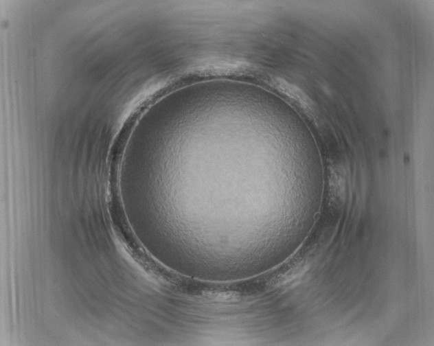 X0000066520582200603241339