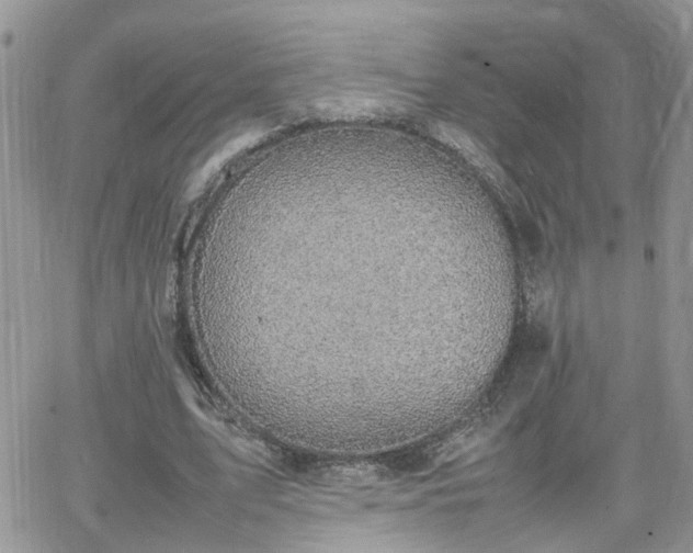 X0000066520583200603241339