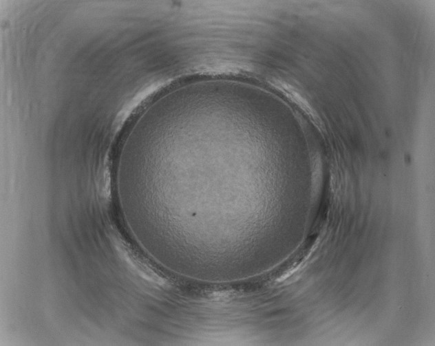 X0000066520584200603241339