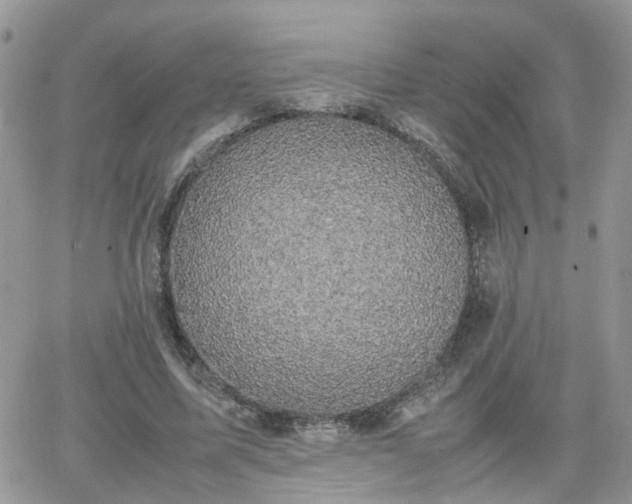 X0000066520587200603241339