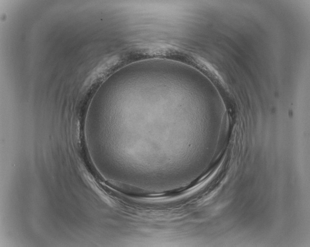 X0000066520589200603241338