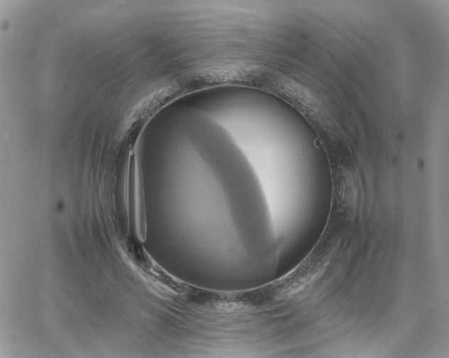 X0000066520590200603241338