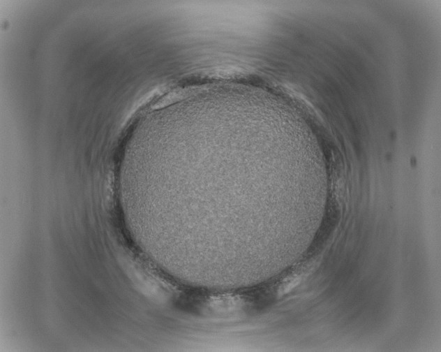 X0000066520591200603241338