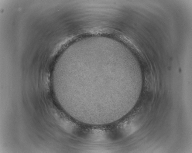 X0000066520592200603241338