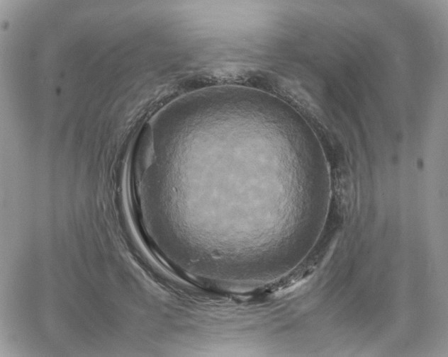 X0000066520593200603241338