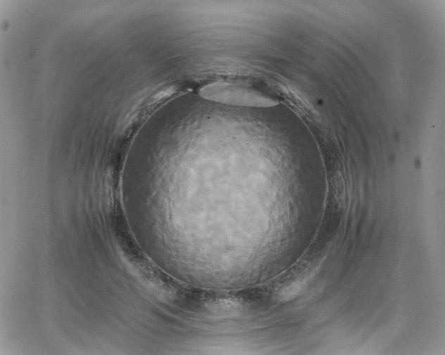 X0000066520594200603241338