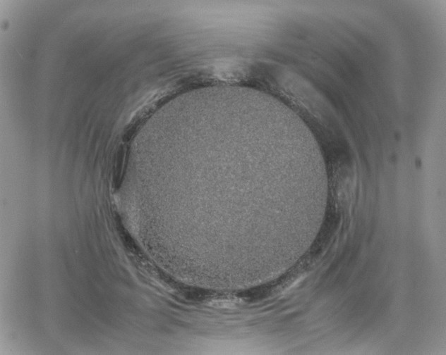 X0000066520595200603241338