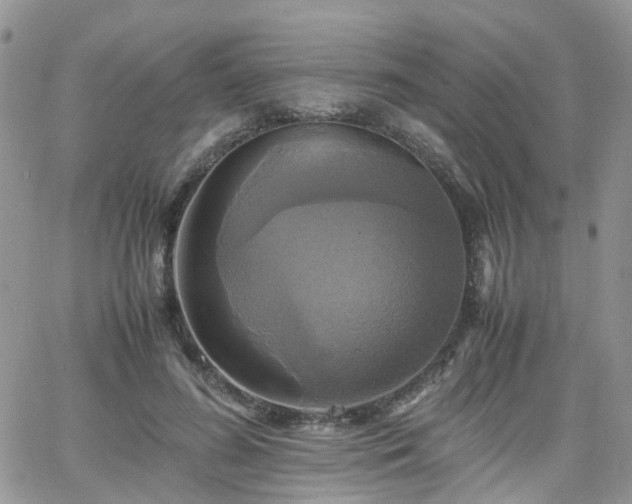 X0000066520596200603241338