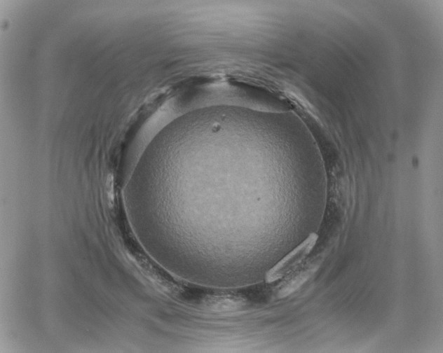 X0000066520597200603241338