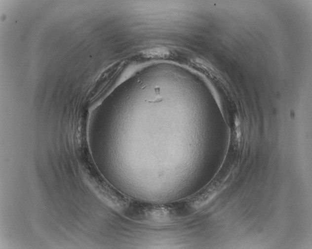 X0000066520600200603241338