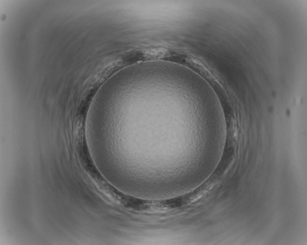 X0000066520601200603241338