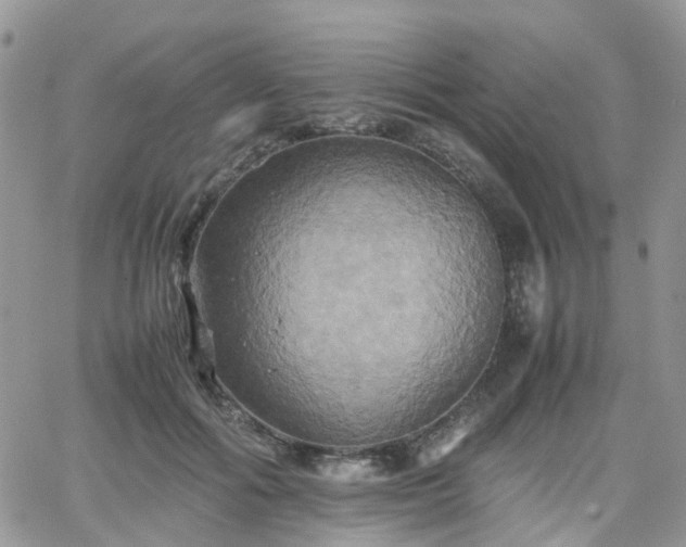 X0000066520602200603241338