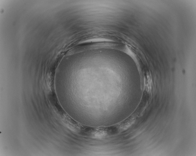 X0000066520604200603241338