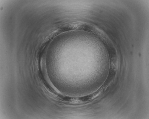 X0000066520605200603241338