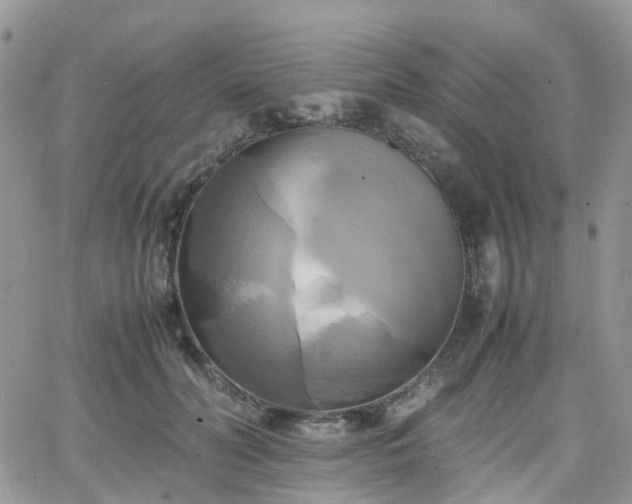 X0000066520606200603241338