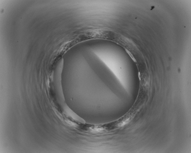 X0000066520607200603241338