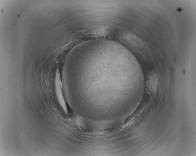 X0000066520608200603241338