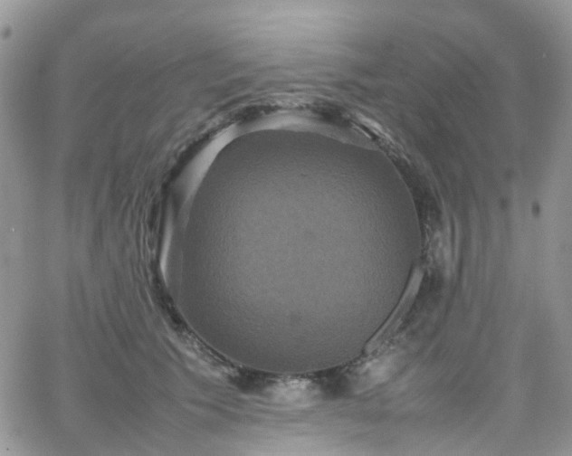 X0000066520609200603241338