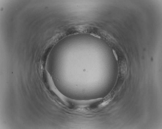 X0000066520611200603241338