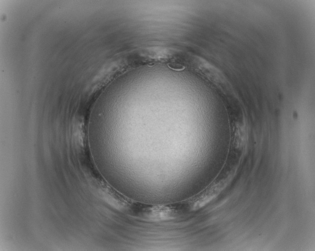 X0000066520612200603241338