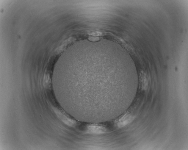 X0000066520614200603241338