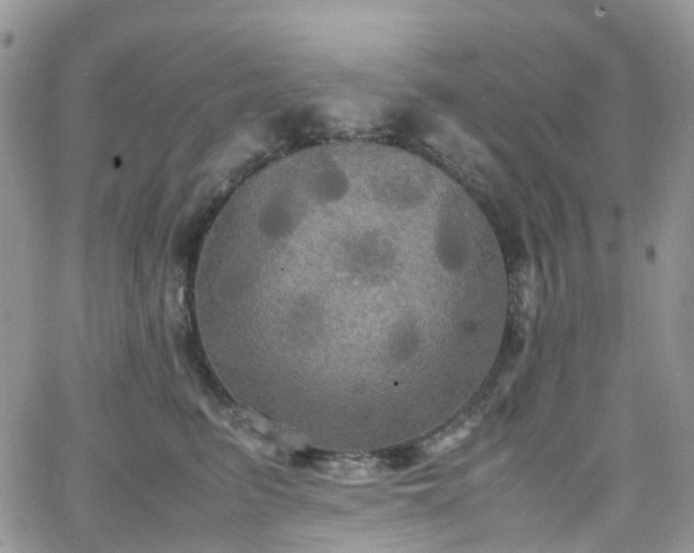 X0000066520615200603241338