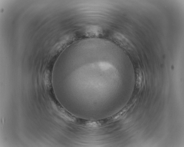 X0000066520616200603241338