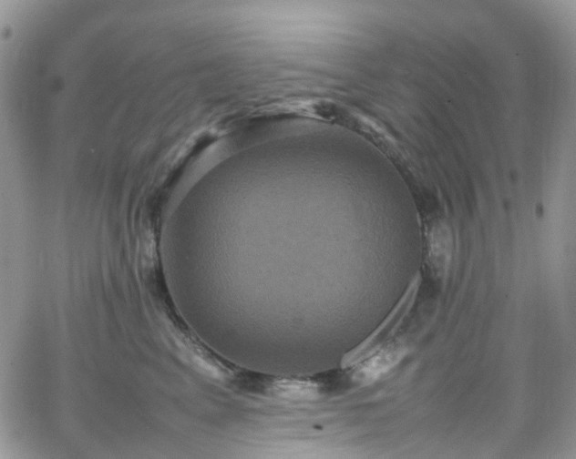 X0000066520617200603241338