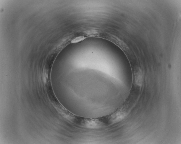 X0000066520618200603241338