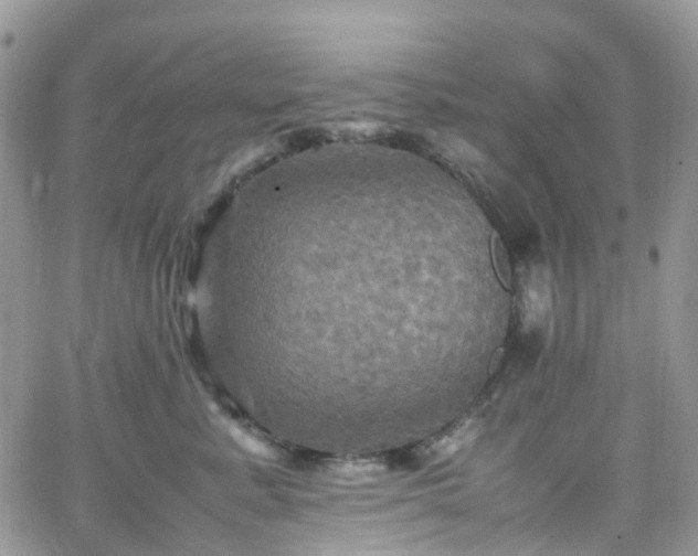 X0000066520619200603241338