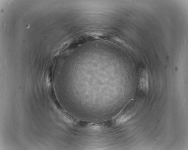 X0000066520620200603241338