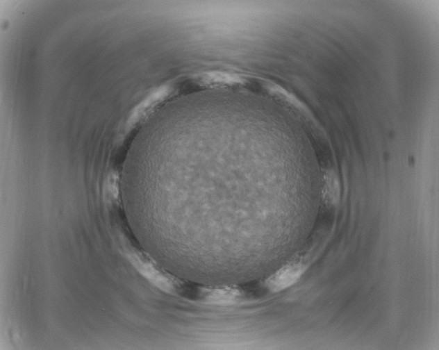 X0000066520621200603241338