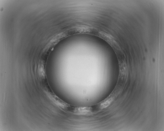 X0000066520622200603241338