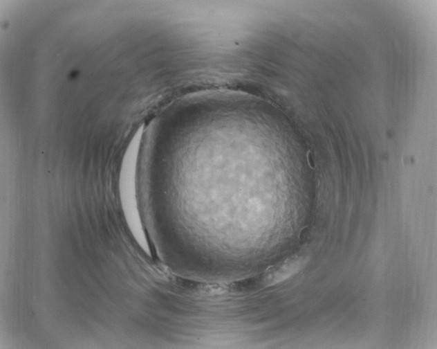 X0000066520624200603241338