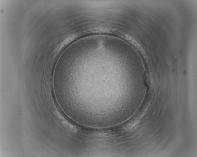 X0000066520625200603241337