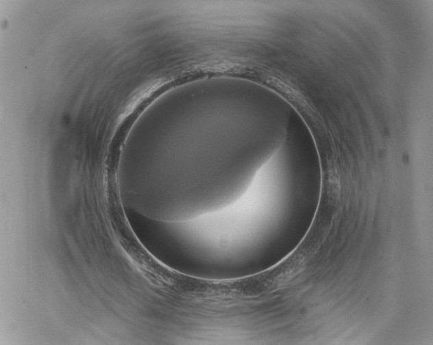 X0000066520626200603241337