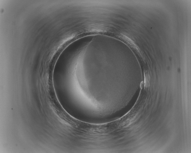 X0000066520627200603241337