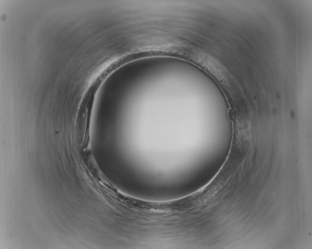 X0000066520628200603241337