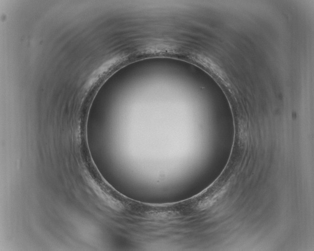 X0000066520629200603241337