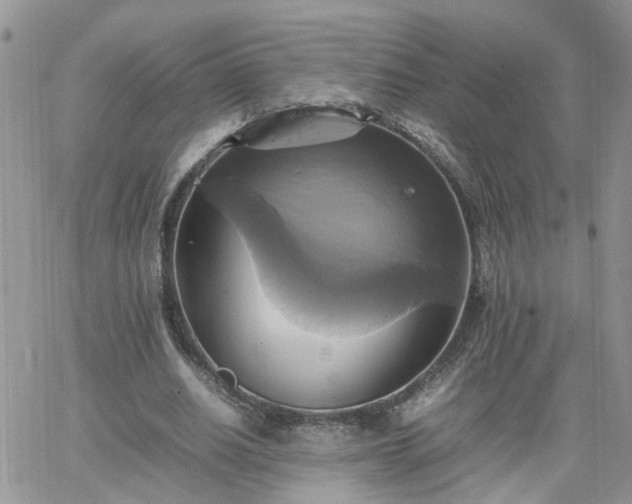 X0000066520630200603241337