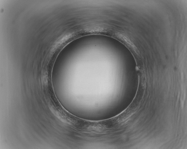 X0000066520631200603241337