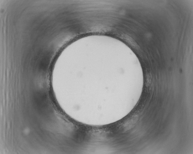 X0000066520632200603241337