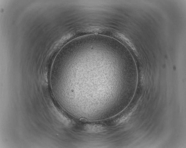 X0000066520633200603241337