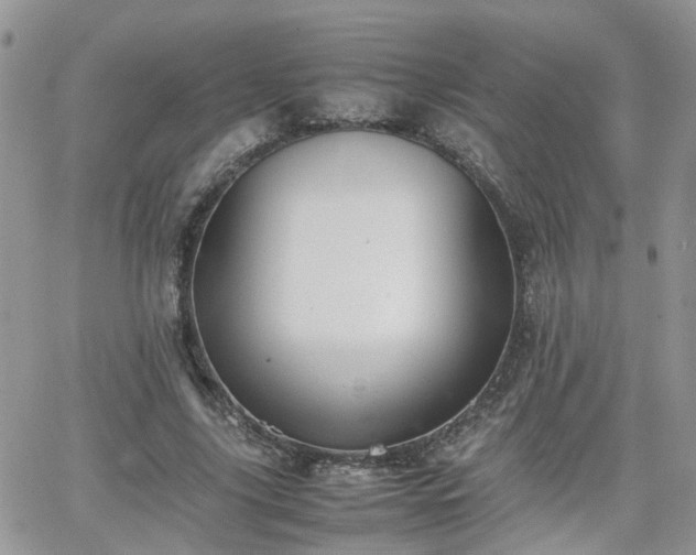 X0000066520635200603241337