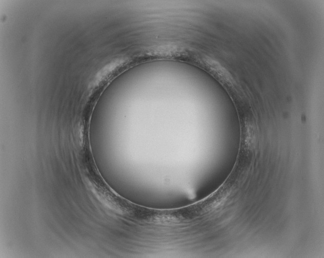 X0000066520636200603241337