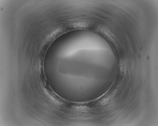 X0000066520637200603241337