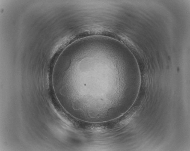 X0000066520638200603241337