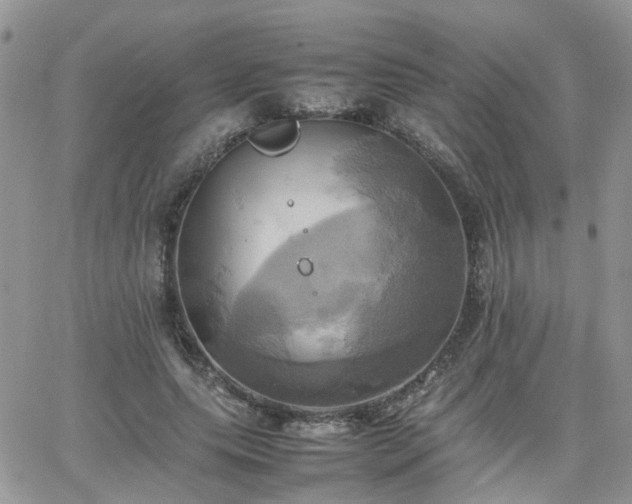 X0000066520639200603241337