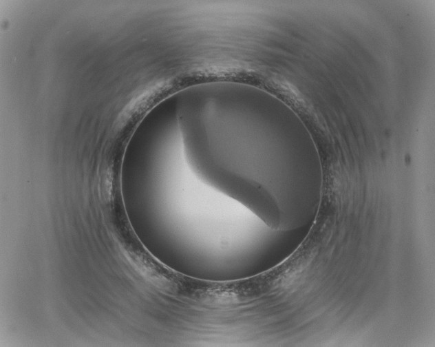 X0000066520640200603241337