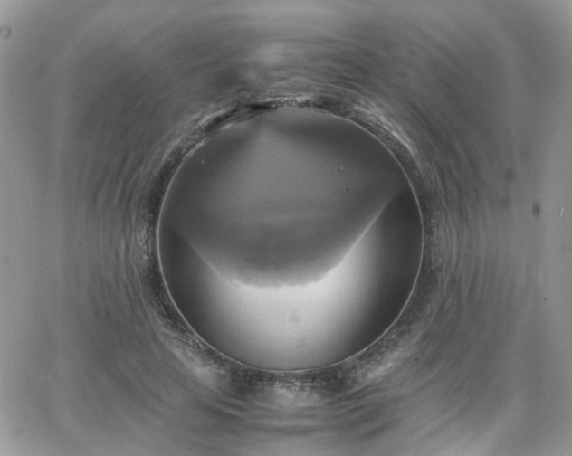 X0000066520641200603241337